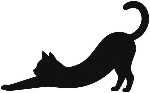 伸びをする黒猫のシルエット