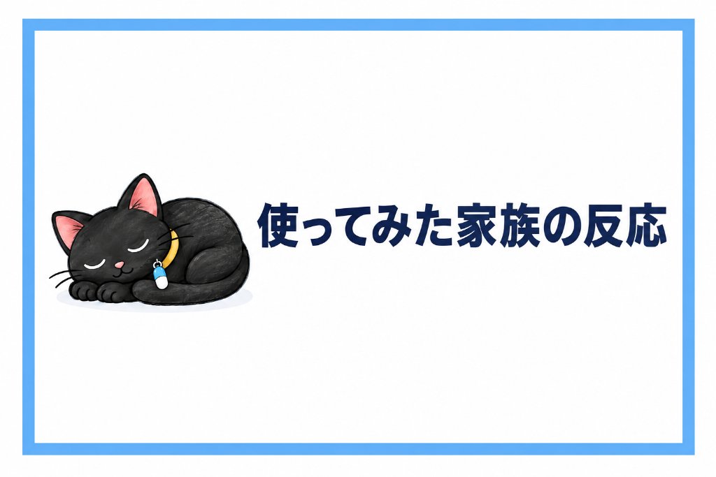 ChatGPT 画像 2026年10月16日 18_06_39-4