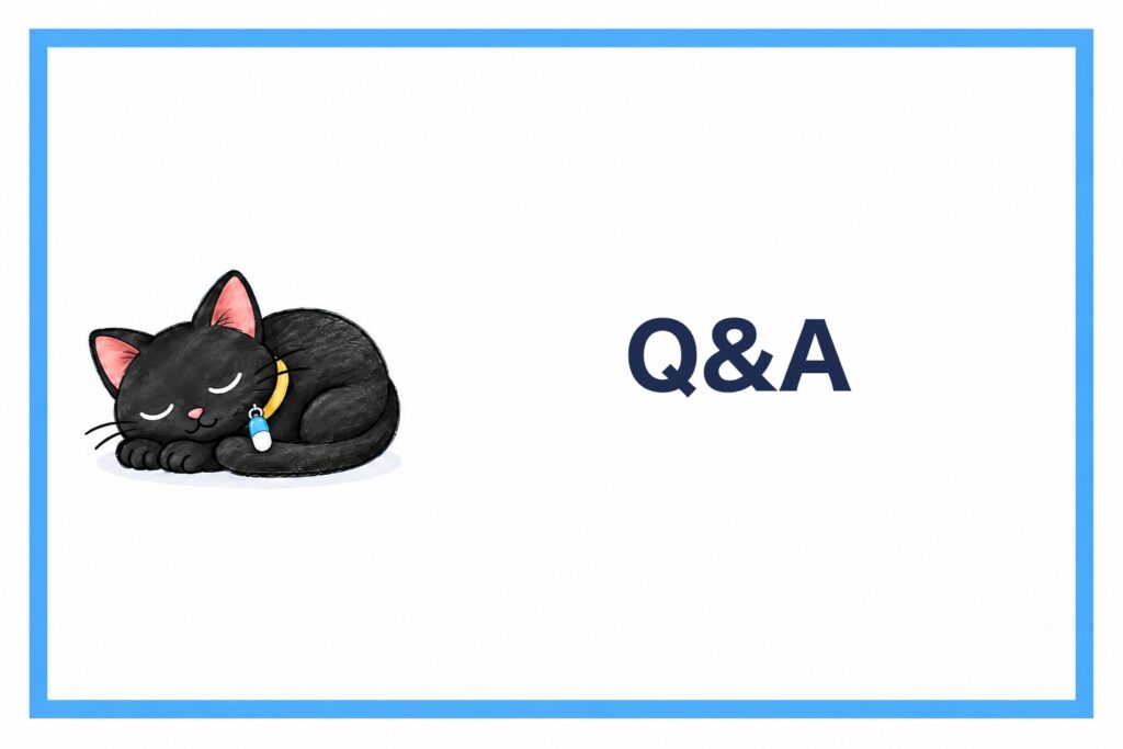 Q&A